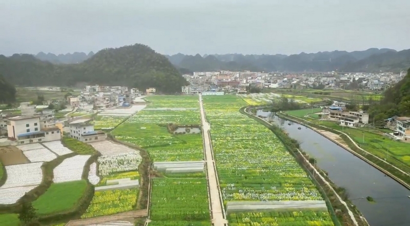 bob半岛官网万象“耕”新好时节 贵州省农科院助力全省春耕生产(图1)