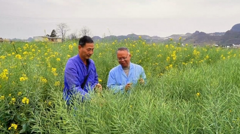 bob半岛官网万象“耕”新好时节 贵州省农科院助力全省春耕生产(图2)